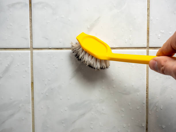 Best Post-Flood Mold Remediation in Hillandale, MD