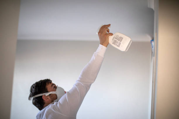 Best Industrial Mold Remediation in Hillandale, MD